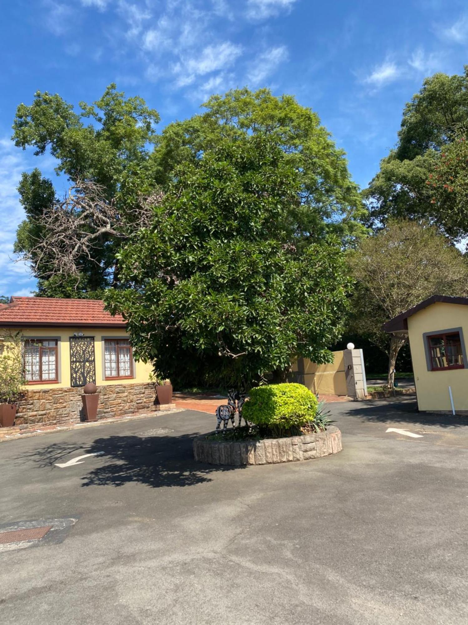 Madlula'S Guesthouse Pietermaritzburg Esterno foto